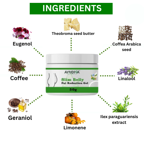 Ayudiva Herbals Slim Belly Fat Burner Gel – Natural Herbal Skin Care Gel – 50g
