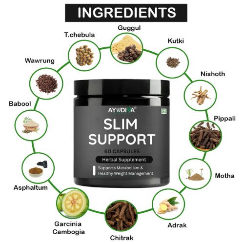 Ayudiva Herbals Slim Support – 60 Capsules
